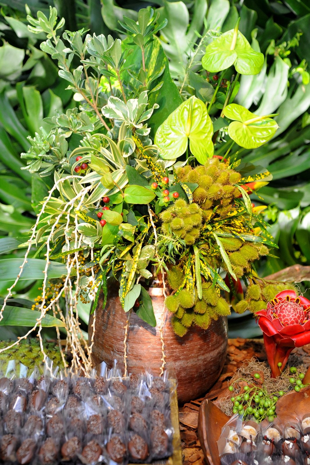 Festa de Premiação Anual – NFD 2019 No dia 12/12